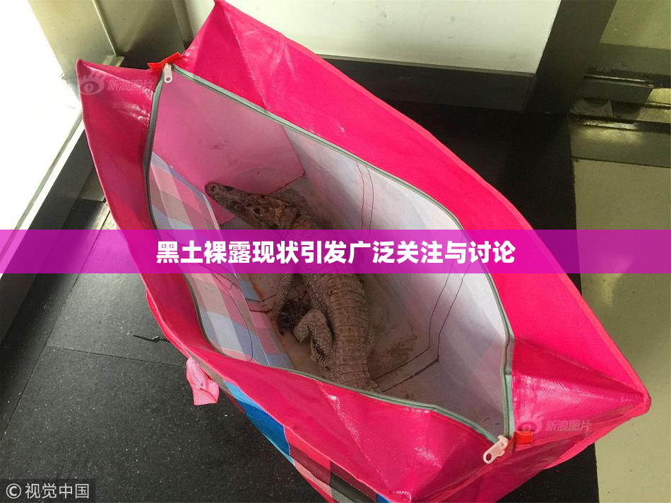 黑土裸露现状引发广泛关注与讨论