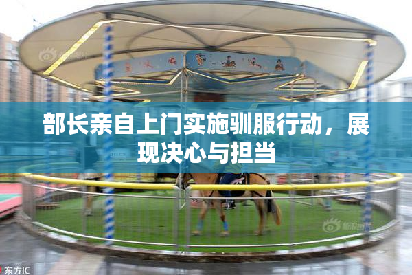 部长亲自上门实施驯服行动，展现决心与担当