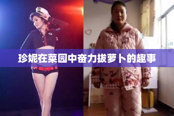 珍妮在菜园中奋力拔萝卜的趣事