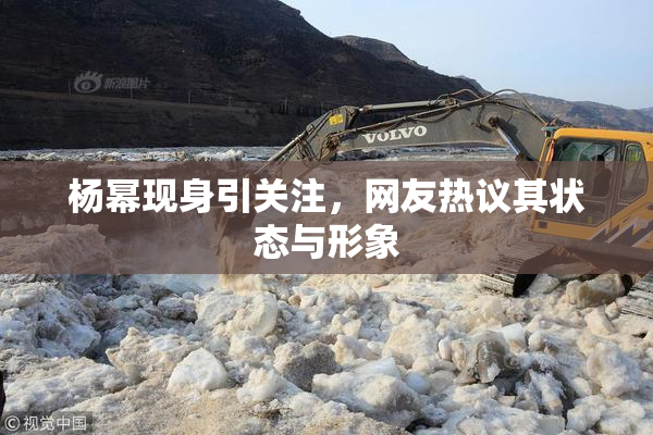 杨幂现身引关注，网友热议其状态与形象