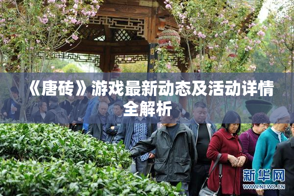 《唐砖》游戏最新动态及活动详情全解析