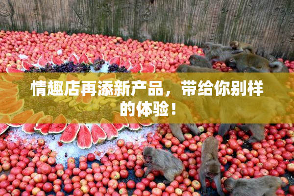 情趣店再添新产品，带给你别样的体验！