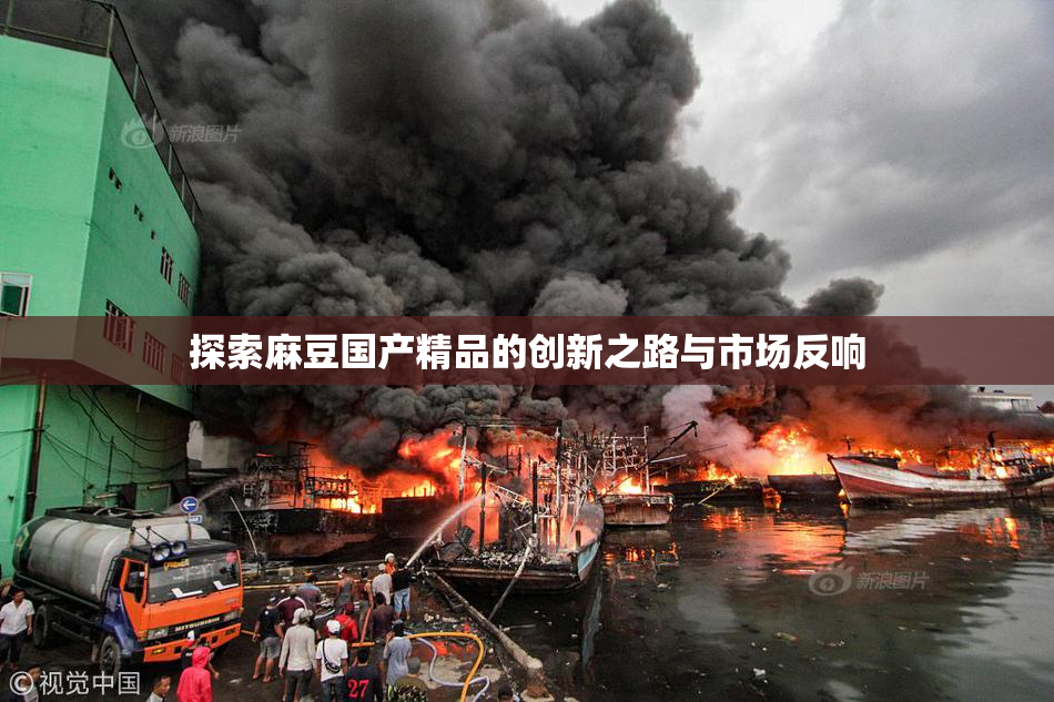 探索麻豆国产精品的创新之路与市场反响