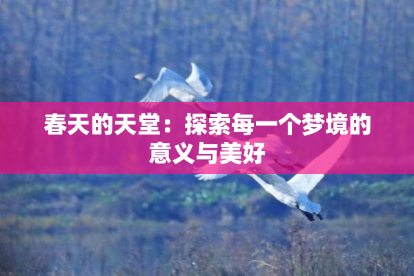 春天的天堂：探索每一个梦境的意义与美好