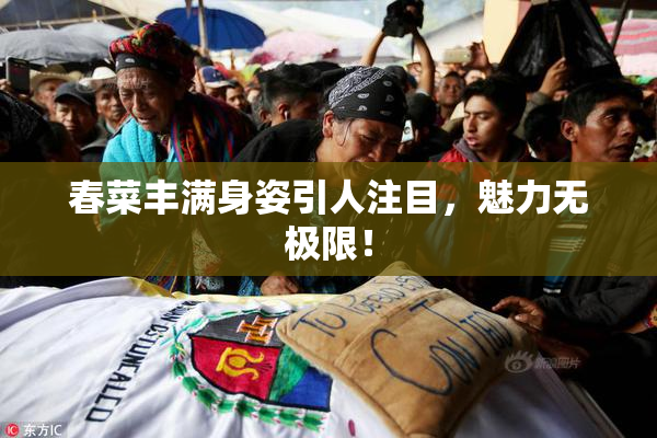 春菜丰满身姿引人注目，魅力无极限！