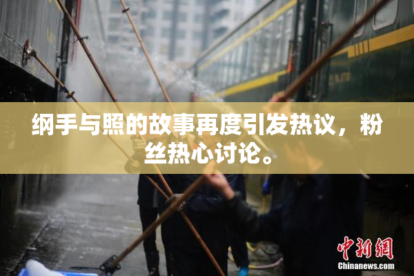 纲手与照的故事再度引发热议，粉丝热心讨论。