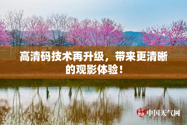 高清码技术再升级，带来更清晰的观影体验！