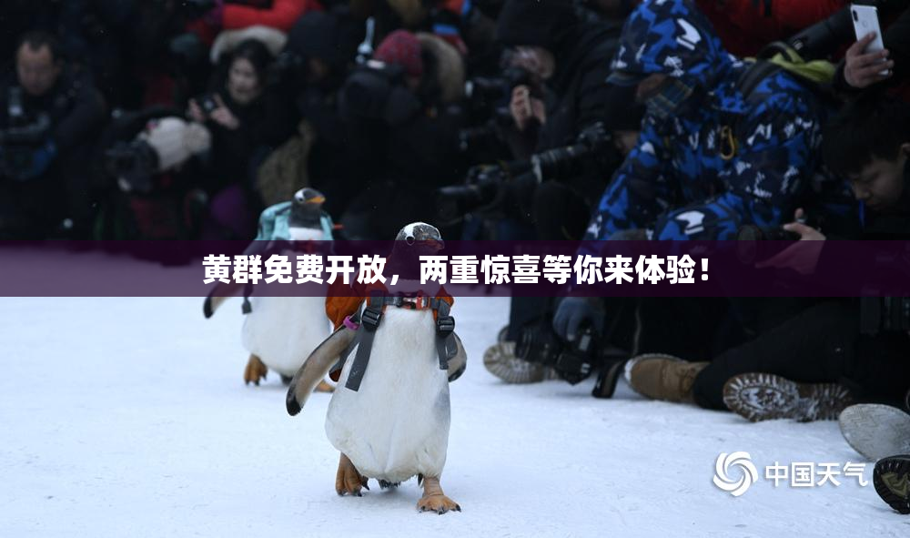 黄群免费开放，两重惊喜等你来体验！
