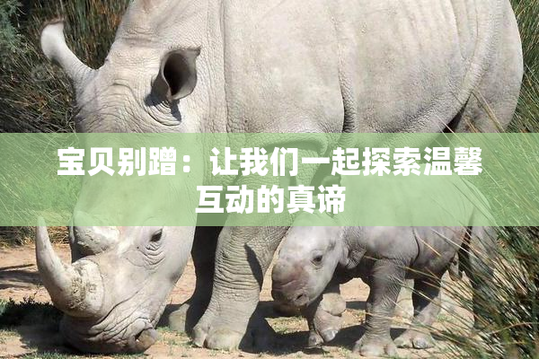 宝贝别蹭：让我们一起探索温馨互动的真谛