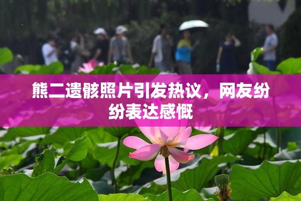 熊二遗骸照片引发热议，网友纷纷表达感慨