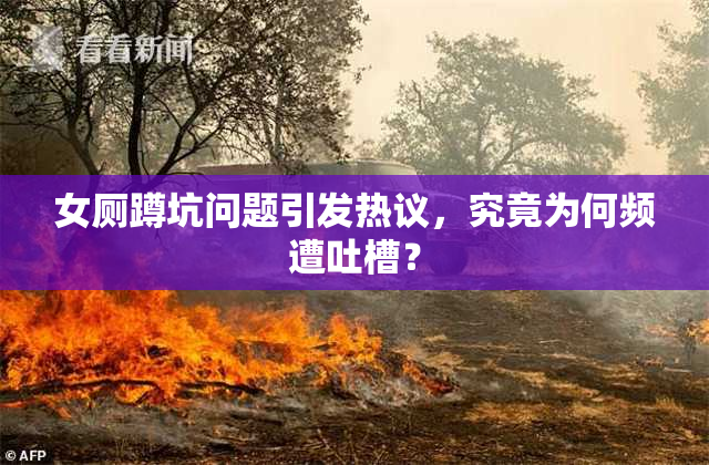 女厕蹲坑问题引发热议，究竟为何频遭吐槽？