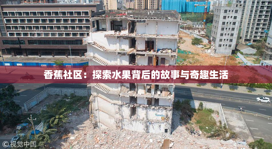 香蕉社区：探索水果背后的故事与奇趣生活
