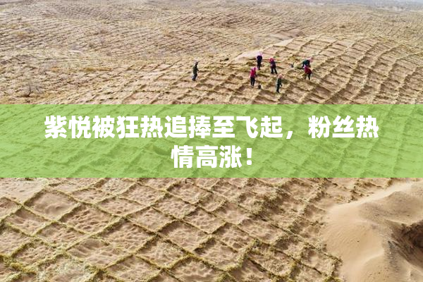 紫悦被狂热追捧至飞起，粉丝热情高涨！