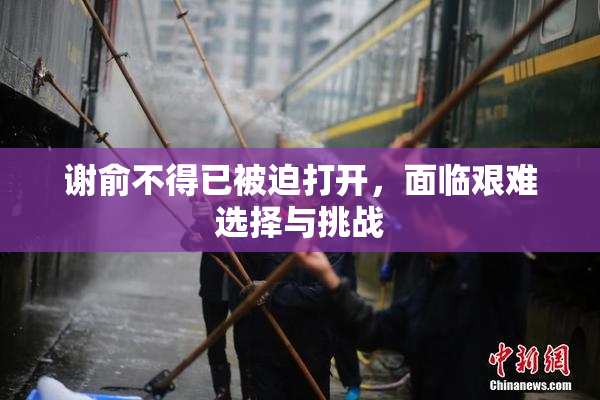 谢俞不得已被迫打开，面临艰难选择与挑战