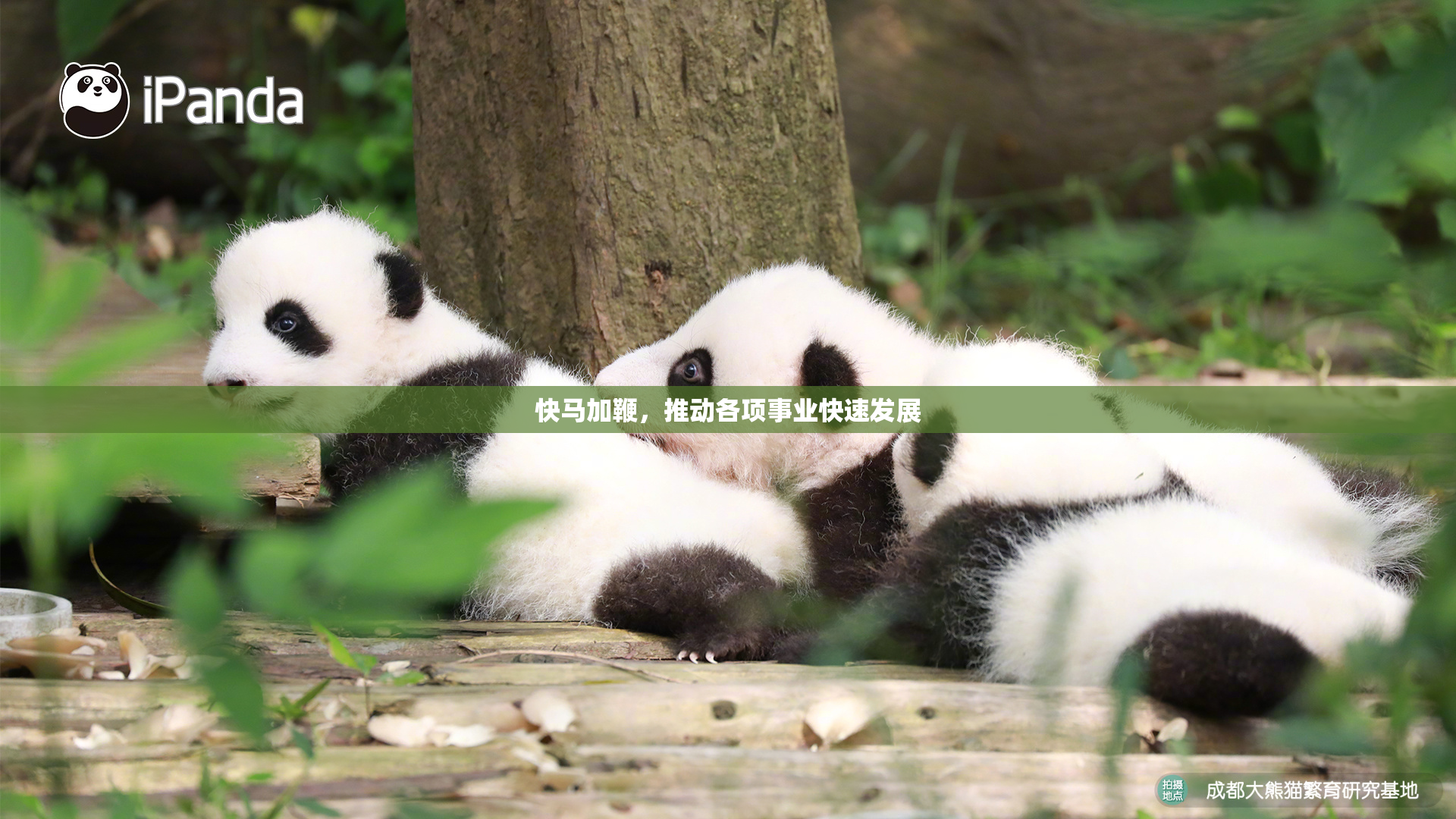 快马加鞭，推动各项事业快速发展