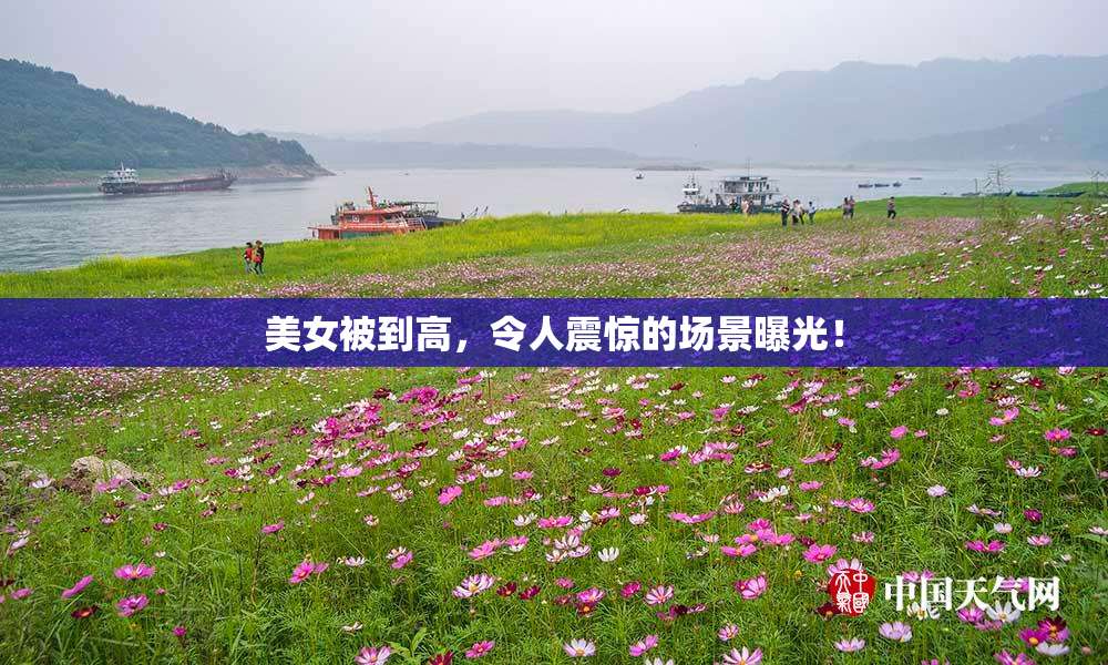 美女被到高，令人震惊的场景曝光！
