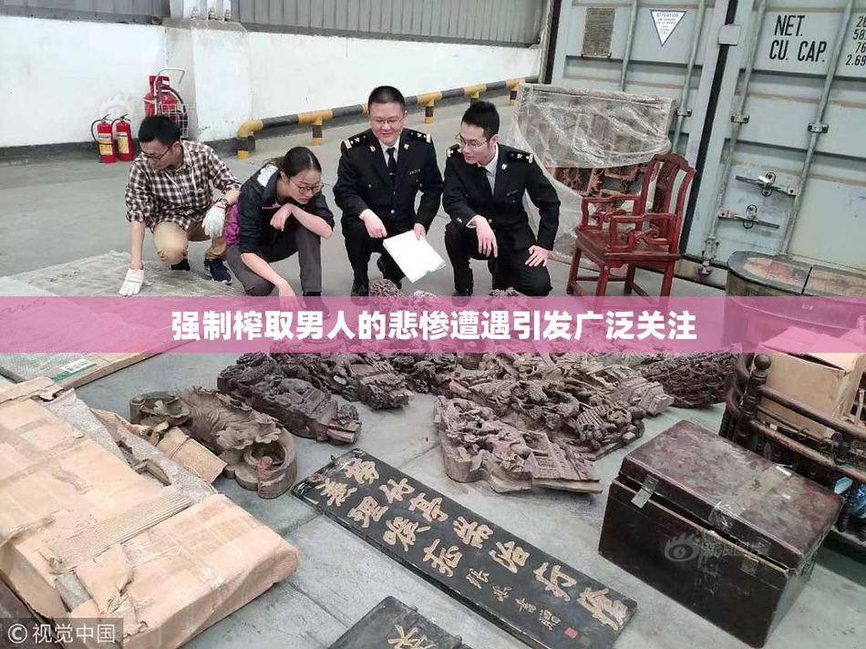 强制榨取男人的悲惨遭遇引发广泛关注
