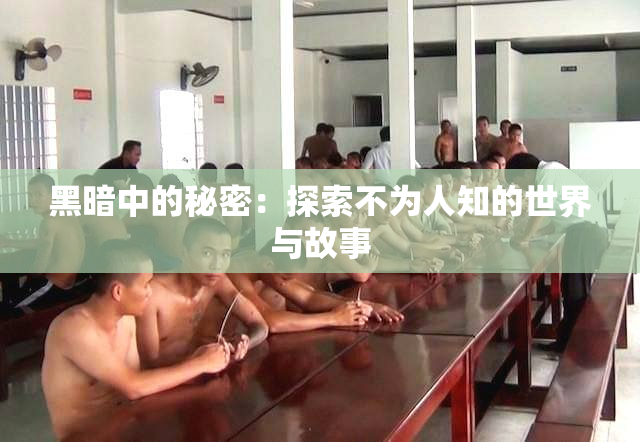 黑暗中的秘密：探索不为人知的世界与故事