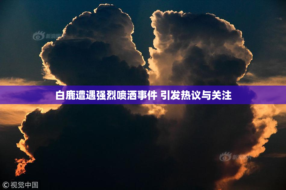 白鹿遭遇强烈喷洒事件 引发热议与关注