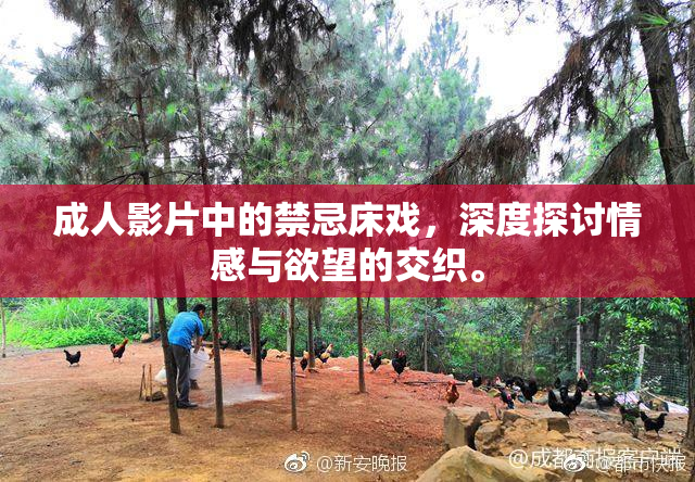 成人影片中的禁忌床戏，深度探讨情感与欲望的交织。