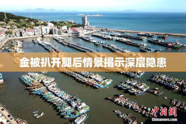 金被扒开腿后情景揭示深层隐患