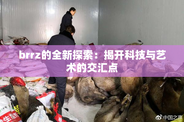 brrz的全新探索：揭开科技与艺术的交汇点