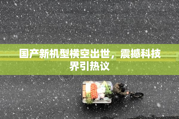 国产新机型横空出世，震撼科技界引热议