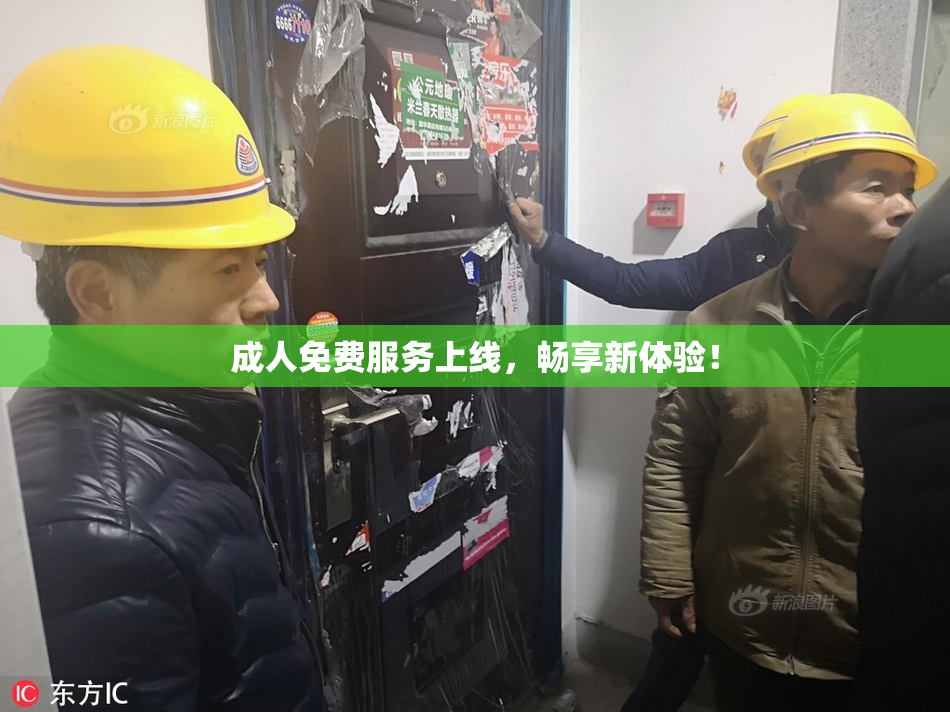 成人免费服务上线，畅享新体验！