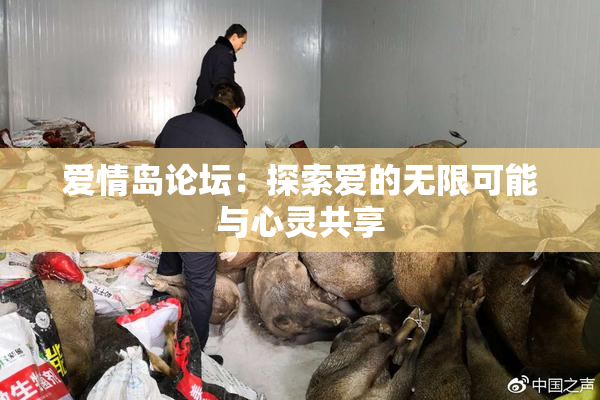 爱情岛论坛：探索爱的无限可能与心灵共享