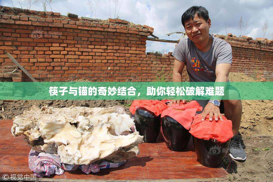 筷子与锚的奇妙结合，助你轻松破解难题