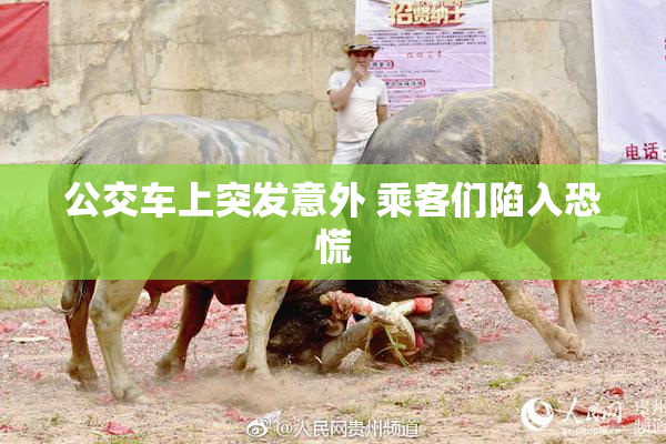 公交车上突发意外 乘客们陷入恐慌