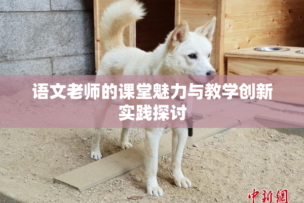 语文老师的课堂魅力与教学创新实践探讨