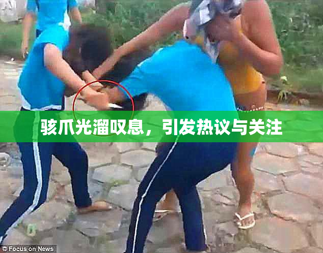 骇爪光溜叹息，引发热议与关注
