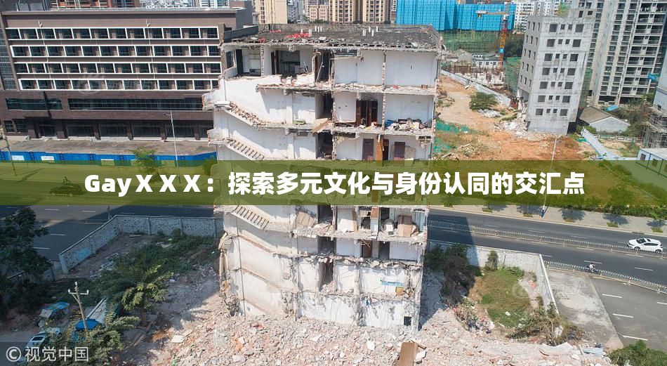 GayⅩⅩⅩ：探索多元文化与身份认同的交汇点