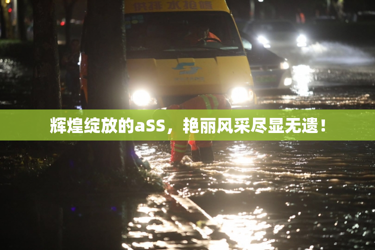辉煌绽放的aSS，艳丽风采尽显无遗！