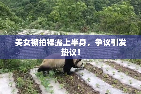美女被拍裸露上半身，争议引发热议！