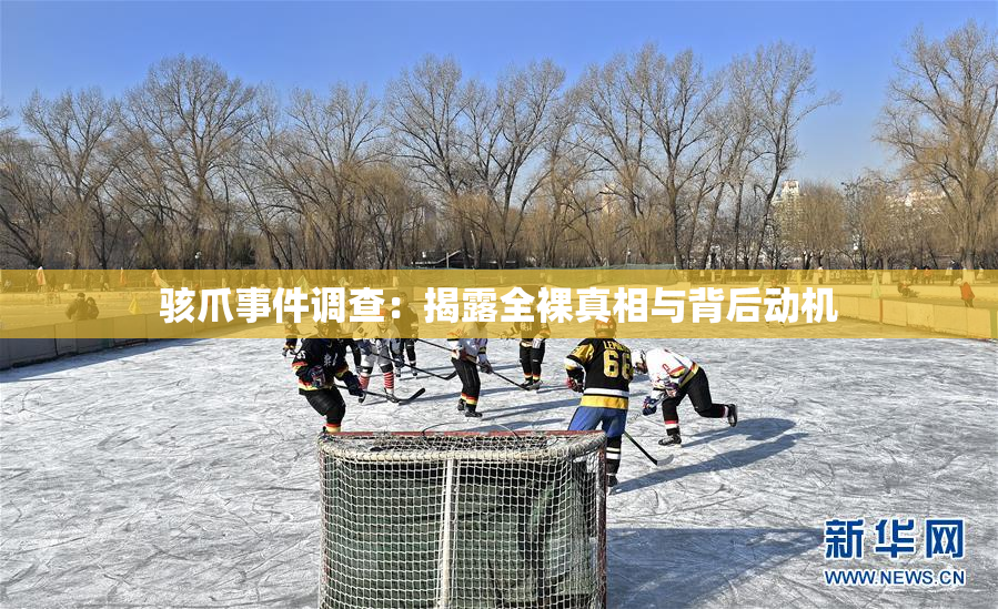 骇爪事件调查：揭露全裸真相与背后动机
