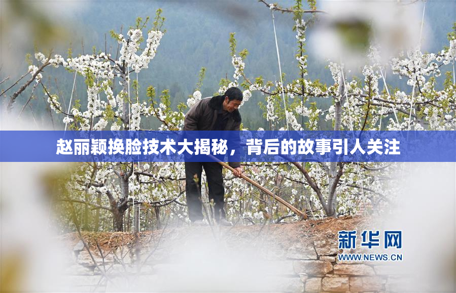 赵丽颖换脸技术大揭秘，背后的故事引人关注