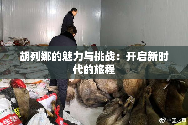 胡列娜的魅力与挑战：开启新时代的旅程