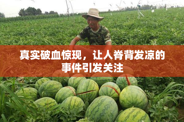 真实破血惊现，让人脊背发凉的事件引发关注