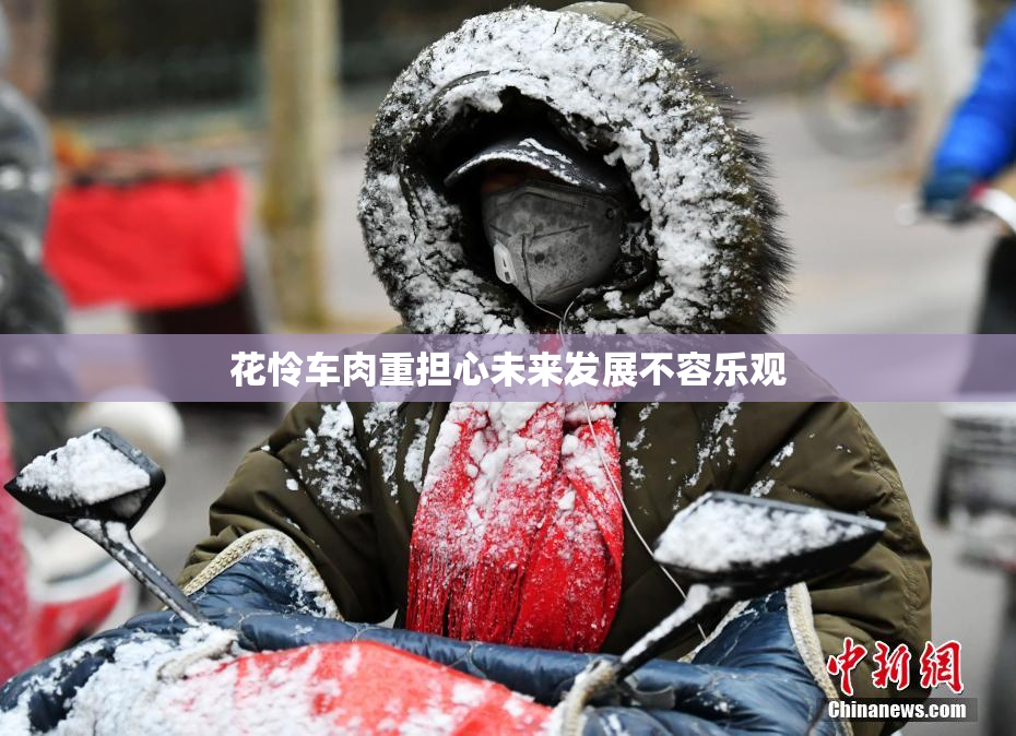 花怜车肉重担心未来发展不容乐观