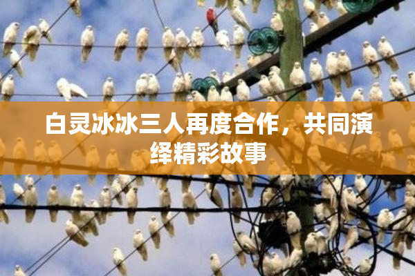 白灵冰冰三人再度合作，共同演绎精彩故事