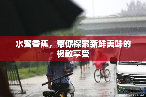水蜜香蕉，带你探索新鲜美味的极致享受