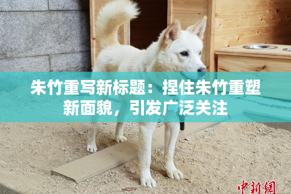 朱竹重写新标题：捏住朱竹重塑新面貌，引发广泛关注