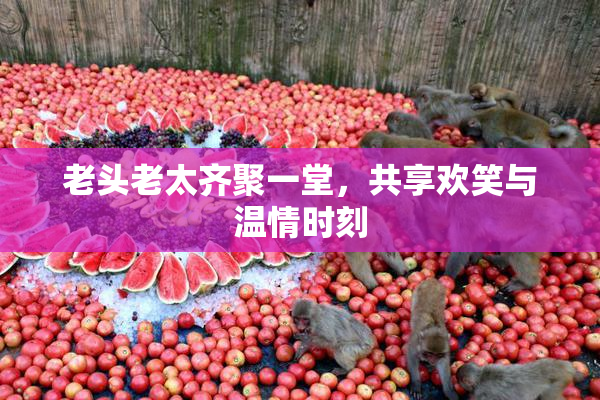 老头老太齐聚一堂，共享欢笑与温情时刻