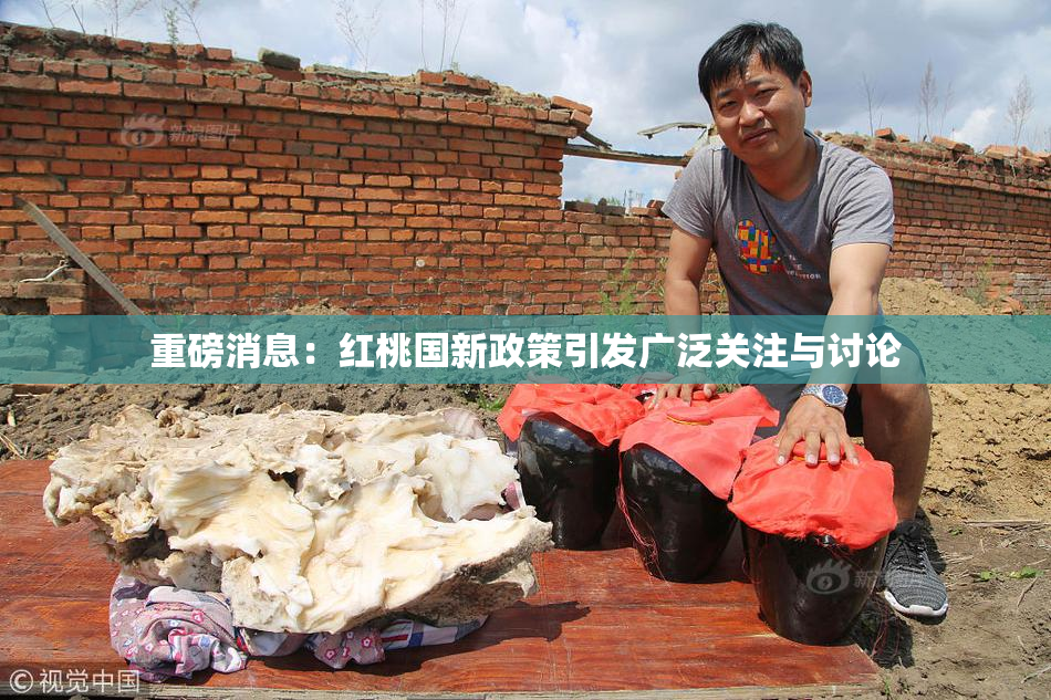 重磅消息：红桃国新政策引发广泛关注与讨论