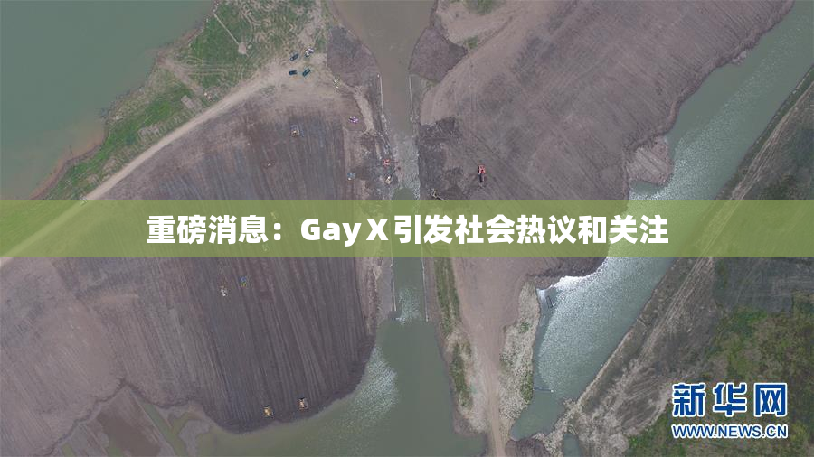 重磅消息：GayⅩ引发社会热议和关注