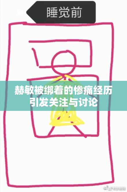 赫敏被绑着的惨痛经历引发关注与讨论