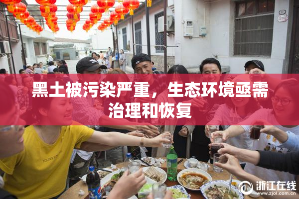 黑土被污染严重，生态环境亟需治理和恢复