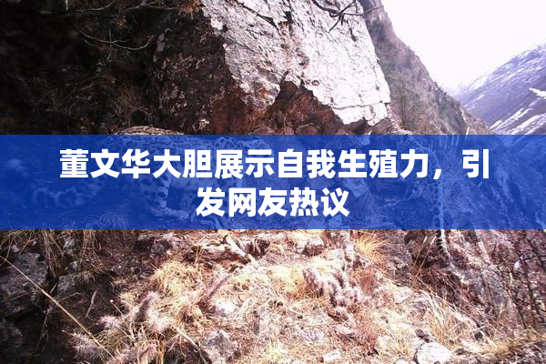 董文华大胆展示自我生殖力，引发网友热议